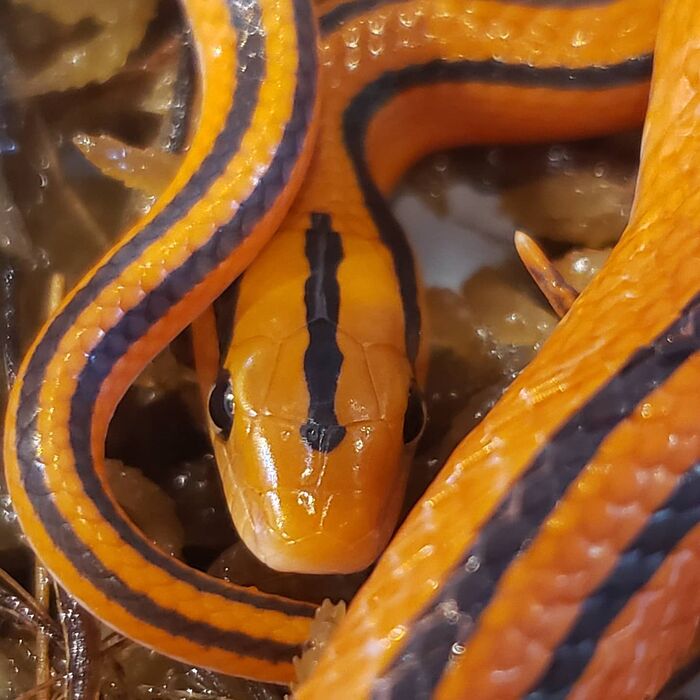 画像1325