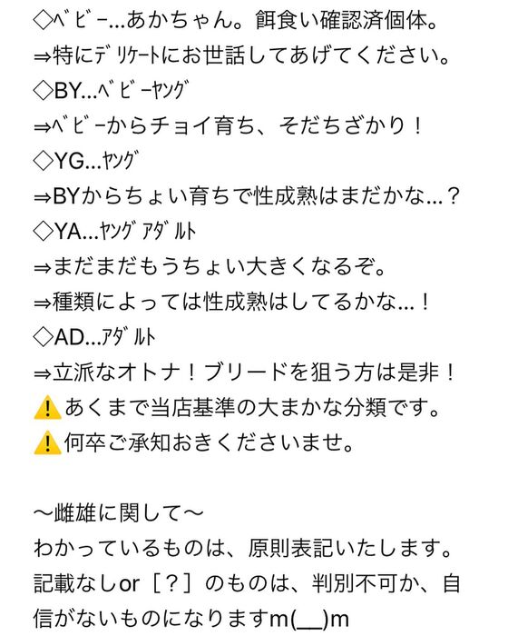 画像1604