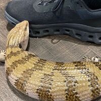 画像1612