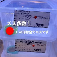 画像1636