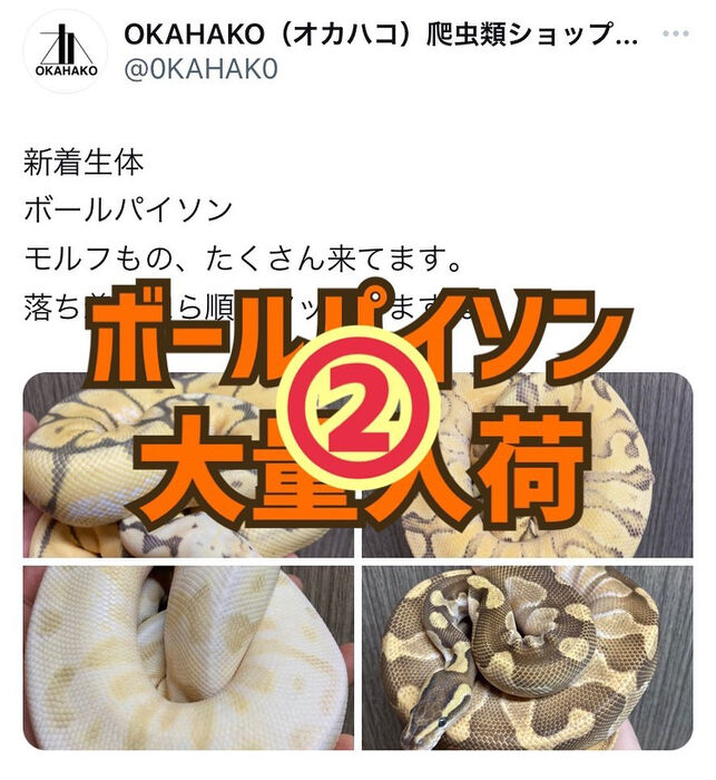 画像1916