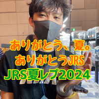 画像2336