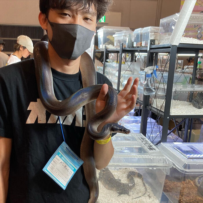 画像2339