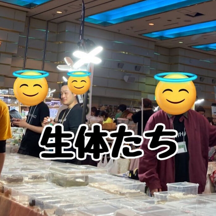 画像2345