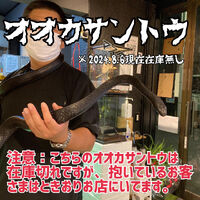画像2346