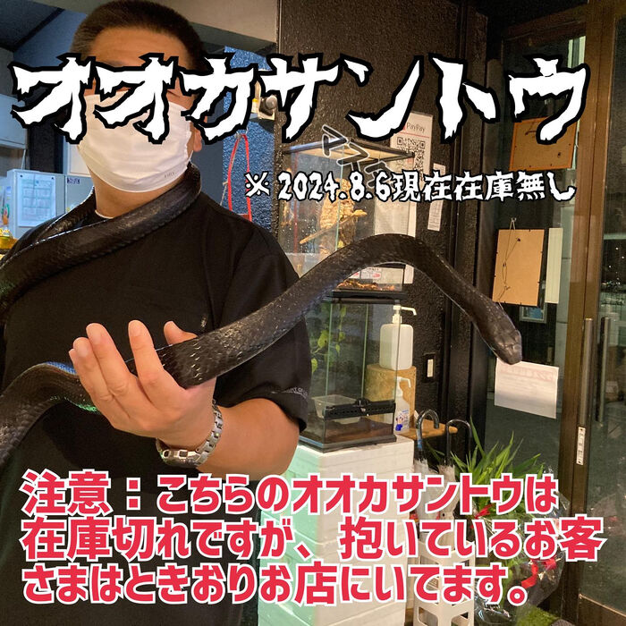 画像2346