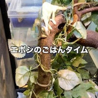 画像2384