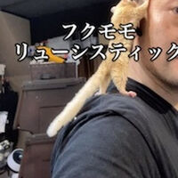 画像2409