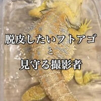 画像2420