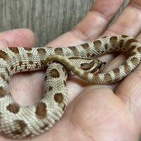 画像2432