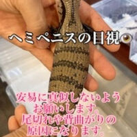 画像2434