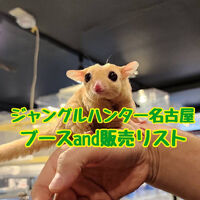 画像2436