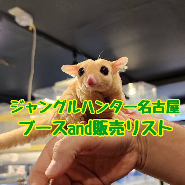 画像2436