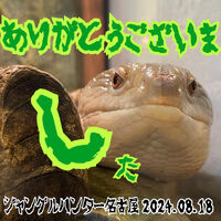 画像2440