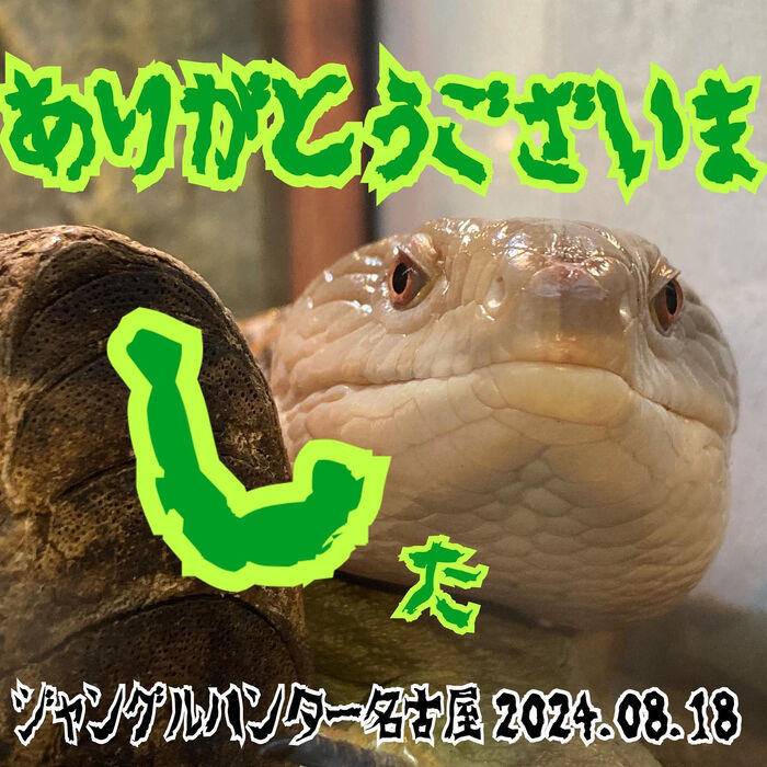画像2440