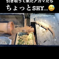 画像2468