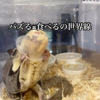 画像2472
