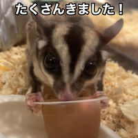 画像2716