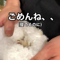 画像2727