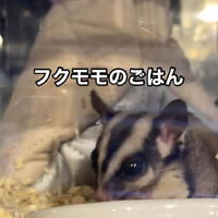 画像2733