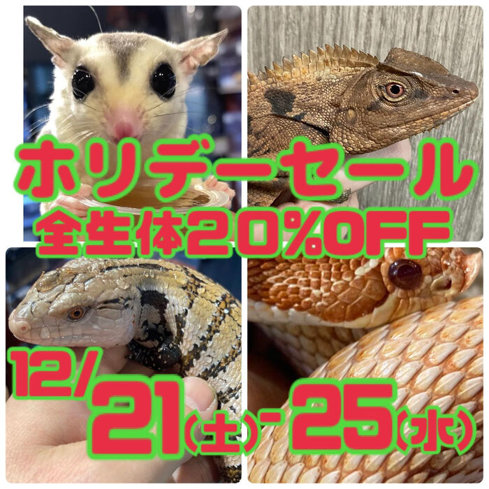 画像2737