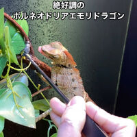 画像2826