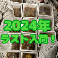 画像2832