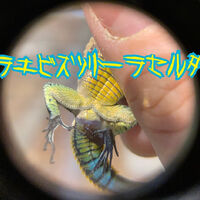 画像2834