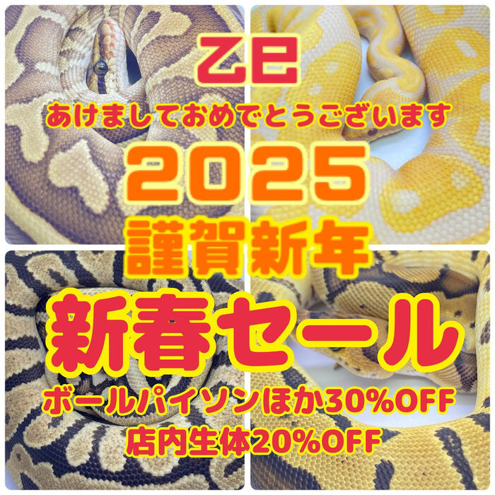 画像2845