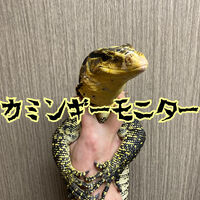 画像2851