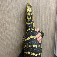 画像2854