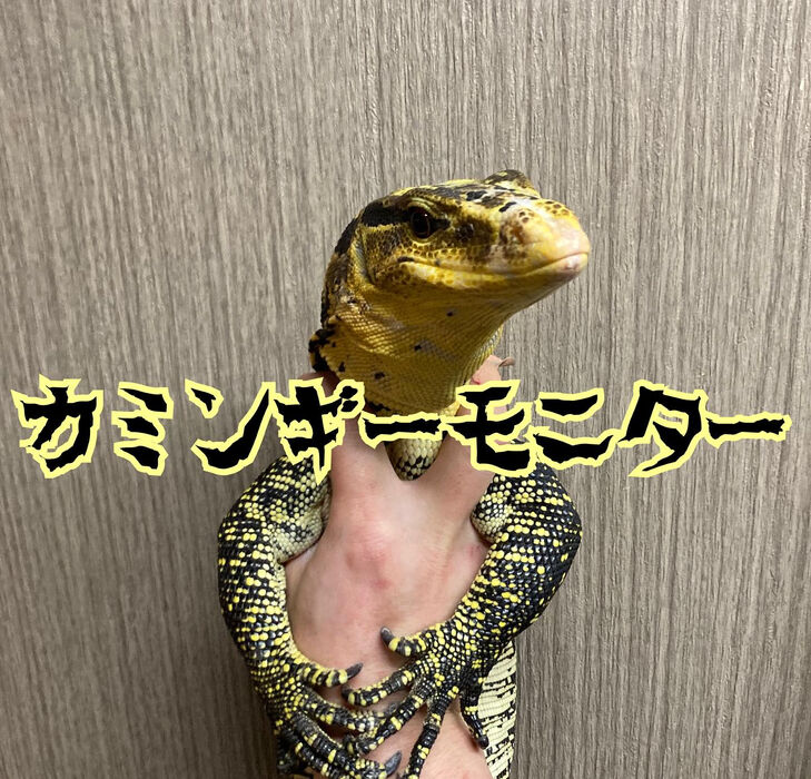 画像2859