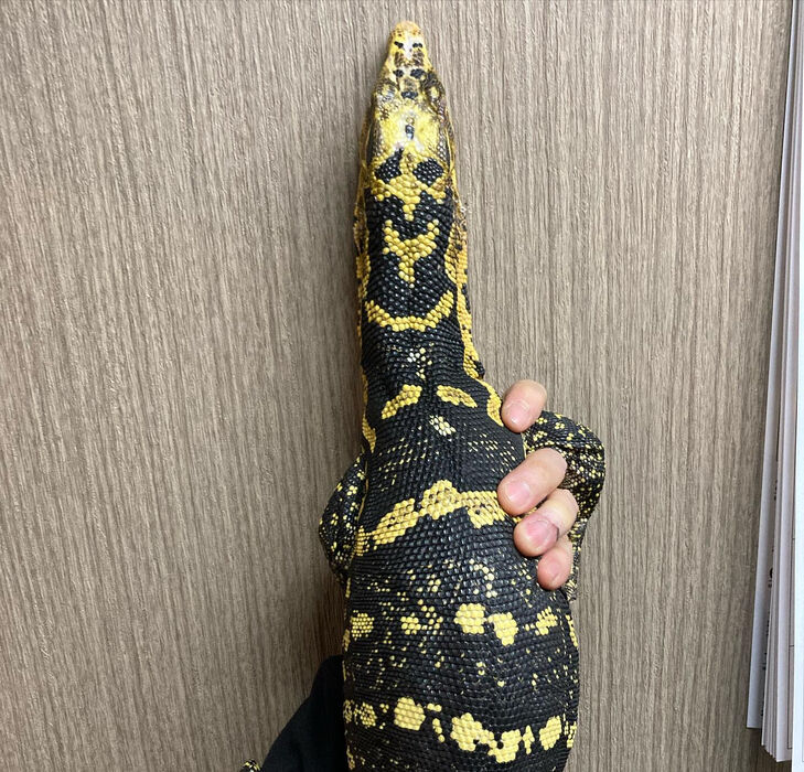 画像2862