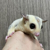 画像2869