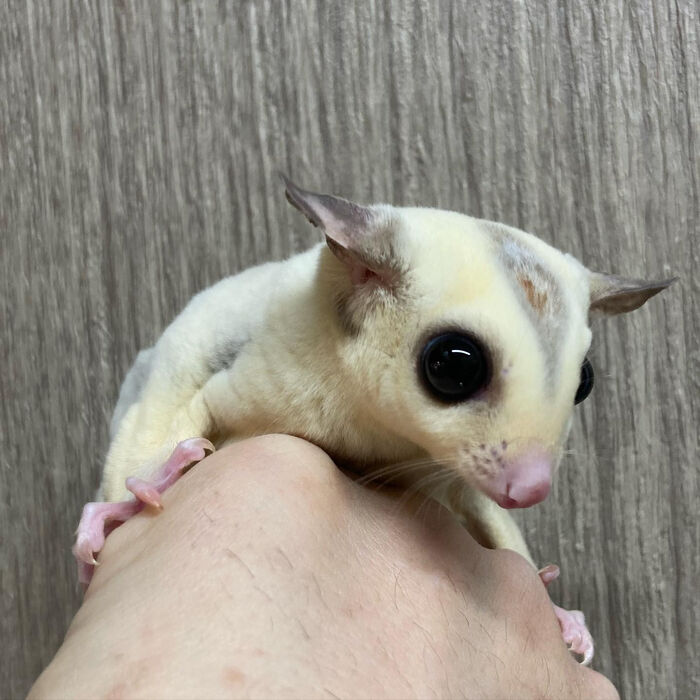 画像2869