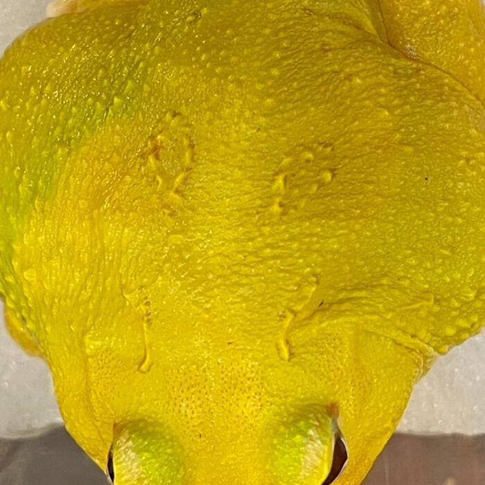 画像2873