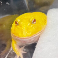 画像2876