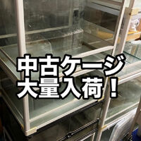 画像3071