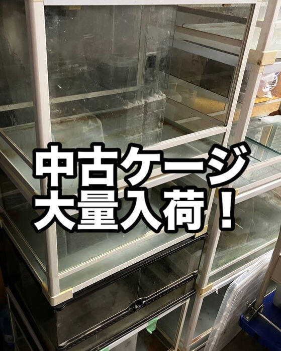 画像3071