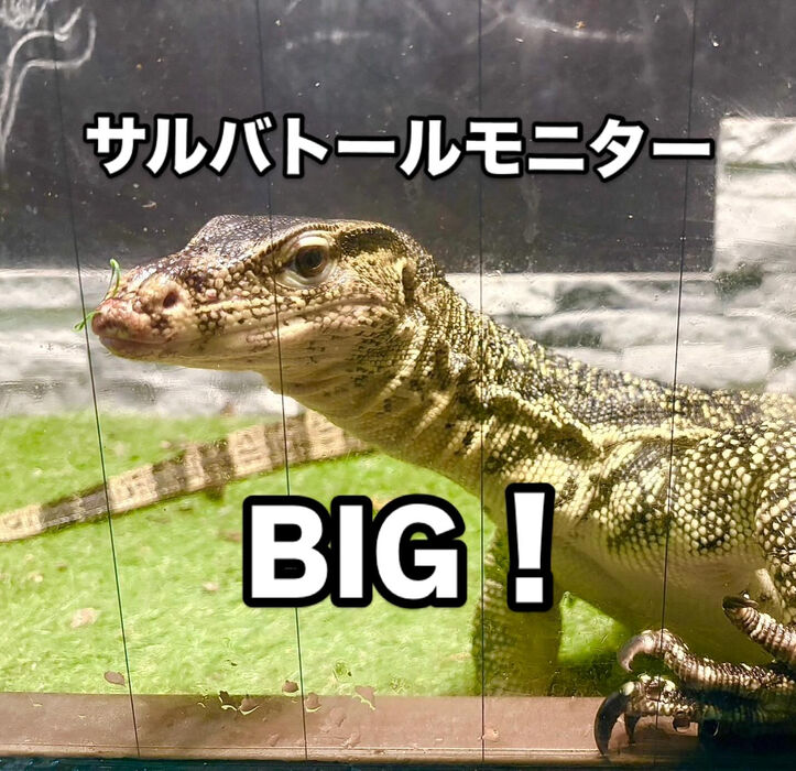 画像3117