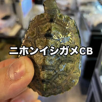 画像3120