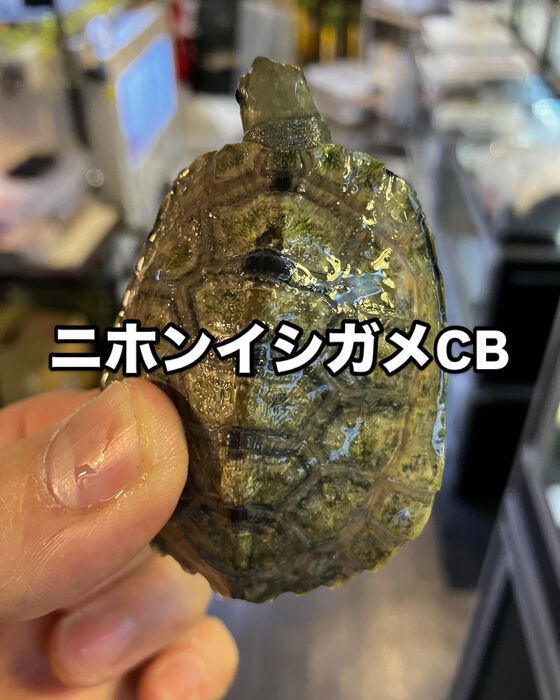 画像3120