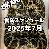 画像3216