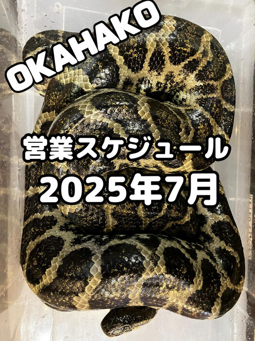 画像3216
