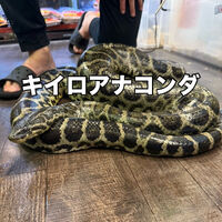 画像3218