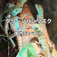 画像3226