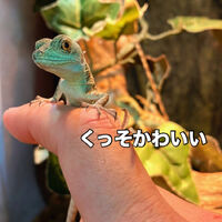 画像3227