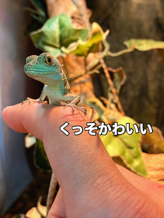 画像3227