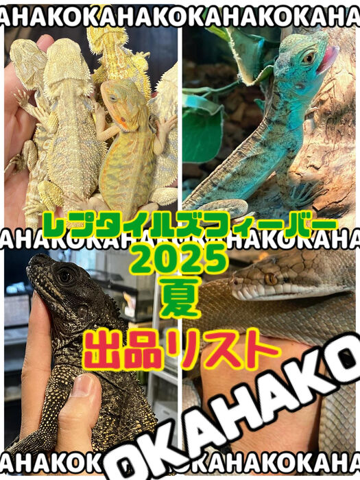 画像3233