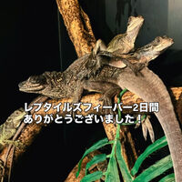 画像3261